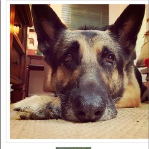 Meet your Posher, Kurt